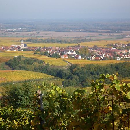 Hotel A La Vignette - Colmar-Nord Saint-Hippolyte  Zewnętrze zdjęcie