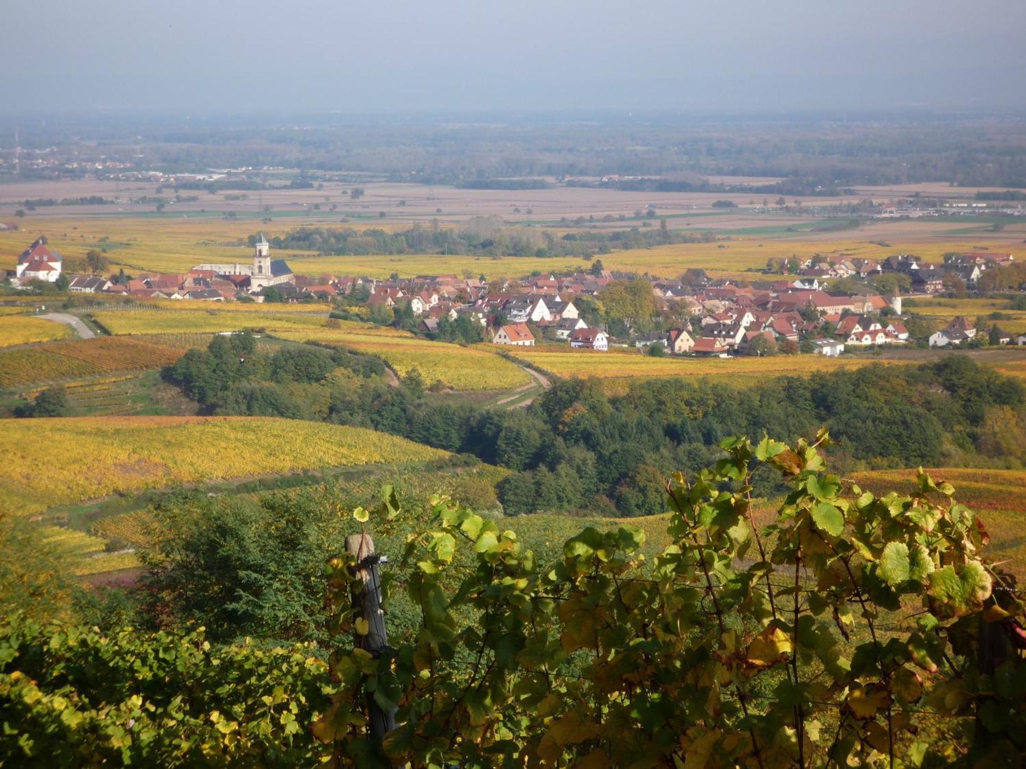 Hotel A La Vignette - Colmar-Nord Saint-Hippolyte  Zewnętrze zdjęcie